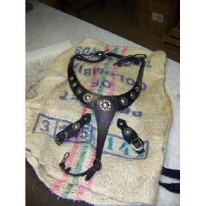 BUCKAROO MARTINGALE/BREASTCOLLAR WITH CONCHAS Image